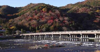 togetsukyo Brücke in der Nähe von Katsuragawa Fluss im Kyoto im Herbst Schwenken video