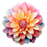 ai gerado colorida flor isolado em transparente fundo png