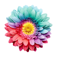 AI generated Colorful flower isolated on transparent background png