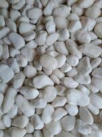 white pebble stone photos