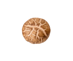 Top view of fresh or dry shiitake mushroom isolated with clipping path in png file format