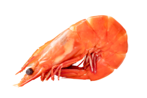 Red cooked or steamed prawn or shrimp isolated with clipping path in png file format