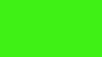 Minimal colored lines motion different colors animated 2D cartoon Green screen video