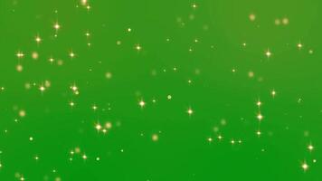 partícula pontos estrelas flutuando dentro a ar dentro branco dourado cores em verde tela video