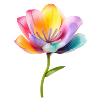 ai généré coloré fleur isolé sur transparent Contexte png