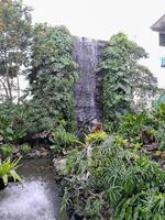 Photos of many plants and waterfalls. Perfect for magazines, newspapers and tabloids