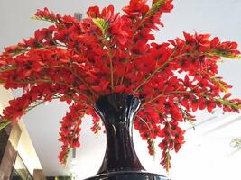 Photo of a red plant in a black vase. Perfect for magazines, newspapers and tabloids
