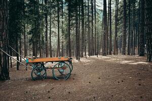 antiguo de madera carro foto