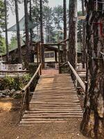 Wooden bridge in the forest photo