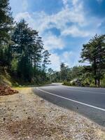 Highway road through the forest photo