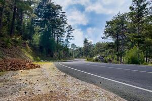 Highway road through the forest photo