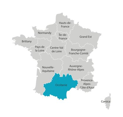 Vector isolated illustration of simplified administrative map of France. Blue shape of Occitanie. Borders of the provinces, regions. Grey silhouettes. White outline.