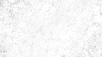 astratto nero a caso in movimento puntini su bianca sfondo. animazione. piccolo nero particelle mossa su luminosa bianca sfondo. effetto di alternato sfocatura e nitidezza video