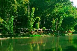 un lago con arboles en el antecedentes foto