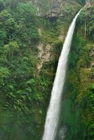 a waterfall in the jungle surrounded by lush green trees photo