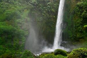 a waterfall is surrounded by lush green vegetation photo