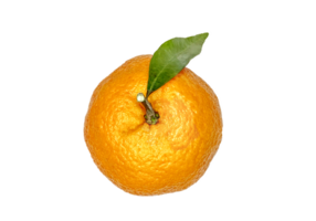 top view of mandarin with a leaf no background png