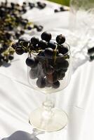 I love the look of these concord grapes all around and some sitting in the wine glass. The deep purple color of these orbs all around. The glass reminds you of sipping some fresh wine. photo