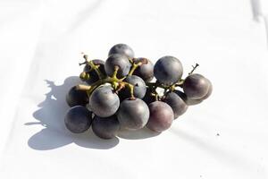 This cluster of concord grapes lay on this white background. The beautiful deep purple berries stand out against the green stems. The orbs are filled with juice. photo