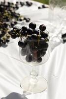 I love the look of these concord grapes all around and some sitting in the wine glass. The deep purple color of these orbs all around. The glass reminds you of sipping some fresh wine. photo