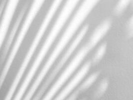 Minimal White Palm Leaves Shadow on Stucco Wall Background. photo