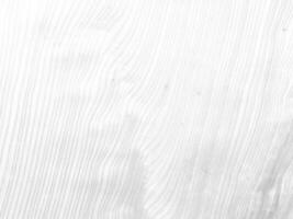White Old Wooden Wall Texture Background. photo