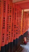 Kyoto, Japan on October 1, 2023. Point of view of people walking looking up and turning among hundreds of seemingly endless paths of vibrant orange torii gates that line the approach to Mt.  Inari. video