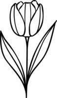 Tulip line art, clip art isolated hand drawn flower illsutration, blooming plant doodle, transparent vector