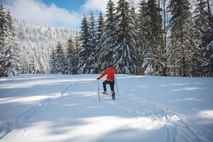 joven adulto a campo traviesa esquiador Envejecido 20-25 haciendo su propio pista en profundo nieve en el desierto durante Mañana soleado clima en beskydy montañas, checo república foto