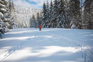 joven adulto a campo traviesa esquiador Envejecido 20-25 haciendo su propio pista en profundo nieve en el desierto durante Mañana soleado clima en beskydy montañas, checo república foto