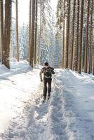 de edad mediana a campo traviesa esquiador Envejecido 50-55 hace su propio pista en profundo nieve en el desierto en el Mañana soleado clima en beskydy montañas, checo república foto