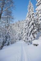 a campo traviesa esquí sendero durante Mañana amanecer Listo para corredores invierno ocupaciones durante el Perfecto invierno en beskydy montañas, checo república foto