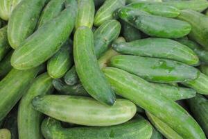 A bunch of freshly harvested cucumbers photo