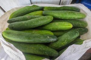 A bunch of freshly harvested cucumbers photo