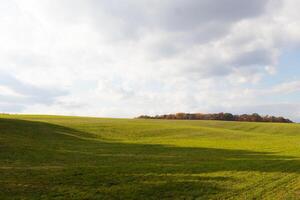 This is a beautiful image of a field that seems to stretch forever. The rolling hills of the lush green grass seems to glow with the cloudy sky above. Fall foliage can be seen in the distance. photo