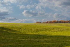 This is a beautiful image of a field that seems to stretch forever. The rolling hills of the lush green grass seems to glow with the cloudy sky above. Fall foliage can be seen in the distance. photo