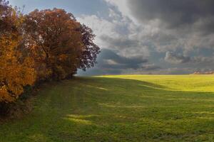 The pretty look of the Fall foliage on the side gives such a pop in colors. The golden Autumn leaves getting ready to drop. The lush green grass of the field below seems to glow. photo