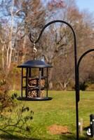This pretty birdfeeder hangs by a shepherds hook. This is a black metal design and holds birdseed cakes. The seed is surrounded by a cage for birds to come to and reach in with their beaks. photo