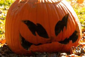 esta hermosa calabaza se sienta en el césped podrido desde el Víspera de Todos los Santos estación. el grande naranja calabaza tiene un de miedo cara tallado en cuales hace eso un Jack o linterna. foto