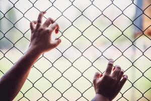 Hands and Steel Cage photo