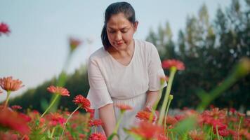 mujer sostiene un flor en el jardín, ella siente romántico video