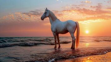 ai generado hermosa caballo en pie por el mar a puesta de sol foto