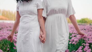 un' donna e un' amico camminare felicemente nel un' rosa fiore giardino. video