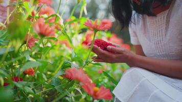 femme détient une branche avec fleurs dans sa main et jouit le fragrance tandis que en marchant dans le jardin en dessous de le le coucher du soleil. video