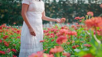 Woman walking in flower corner, looking back in wide view video