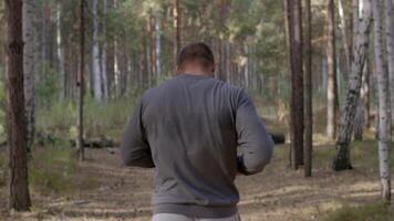 masculino corredor corriendo a lo largo un naturaleza sendero mediante el bosque ver desde atrás. masculino atleta corriendo mediante un verano bosque, cuerpo parte espalda video