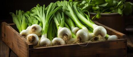 AI generated Fresh green leeks in a wooden crate. photo