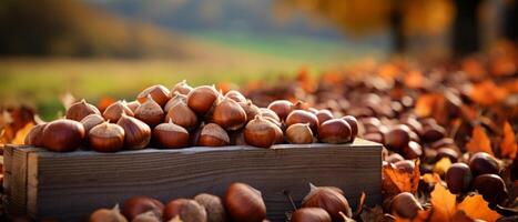 AI generated Rustic display of hazelnuts and chestnuts in wooden boxes. photo