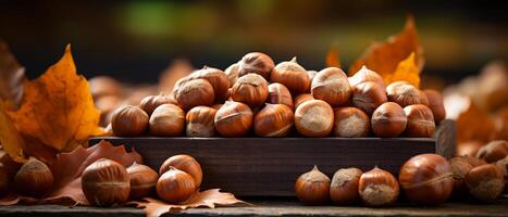 AI generated Rustic display of hazelnuts and chestnuts in wooden boxes. photo