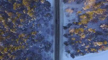 een auto het rijden door de winter Woud Aan land weg. top visie van drone. antenne visie van een weg door de Woud hoog omhoog in de bergen in de winter met sneeuw gedekt bomen video